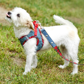 Step-In Denim Dog Harness - Red Plaid (Color: Red Plaid, size: large)